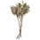 Vickerman H1BAP000 15-18"x3" Banksia Prionote 3 Head Bunch
