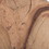 Vickerman H1DFM000 6-12" Natural Petrified Driftwood 39 LBS
