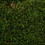 Vickerman H1MOU160 Green Moss Sheet - 8 oz./Bag