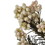 Vickerman H1RCF000 16" Natural White Rice Flower 4-5 oz