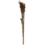 Vickerman H1THR000 33