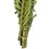 Vickerman H2CTW150 40-48" Twisted Foliage Green Coco Palms