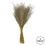 Vickerman H2SNO000-3 14-20" Natural Snowdrop Grass 9oz