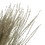 Vickerman H2SNO000-3 14-20" Natural Snowdrop Grass 9oz