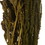 Vickerman H3AMA105 30" Light Green Amaranthus Bundle 7oz