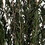 Vickerman H3LPL150 25-36" Green Lepto Longifolia Bundle 6oz