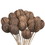 Vickerman H7MIB000 20" Mintola Ball on Stem 25/pk