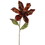 Vickerman OF160715 22" Chocolate Magnolia, 9" Flower 3/Bag