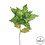 Vickerman OF160913 26" Lime Poinsettia, 13" Flower 3/Bag
