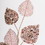 Vickerman OF180958 20" Rose Gold Mulberry Leaf Spray 3/Bg