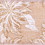 Vickerman Q214651 2.5"x10yd Cream/White Poinsettia Ribbon
