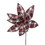 Vickerman QG213112 17" Red/White/Jute Plaid Poinsettia 4/bg