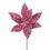 Vickerman QG214512 17" Red/White Frosted Poinsettia 4/bag