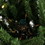 Vickerman S182751LED 5' x 32" Mixed Berry Pine Dura-Lit 200WW