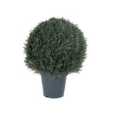 Vickerman UV Pond Cypress Ball in Pot