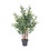 Vickerman T161330 30" Olive Tree in Pot