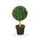 Vickerman TA170801 10" Boxwood Topiary w/5" Pot-7" Ball