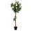 Vickerman TA191559 5' Potted White Rose Tree x18 Flowers