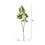 Vickerman TB170301 4' Cotinus Coggygria Branch-Green