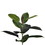 Vickerman TB170760 5' Potted Rubber Treew/132 Lvs-Green