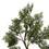 Vickerman TB180172 6' Potted Cedar Tree 390Lvs
