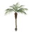Vickerman TB180372 6' Potted Phoenix Palm Tree 545Lvs