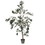 Vickerman TB180548 4' Potted Olive Tree 408 Lvs