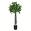 Vickerman TB190330 3' Potted Bay Leaf Topiary 252 Leaves