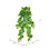 Vickerman 40" Artificial Pothos Hanging Bush.