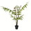 Vickerman TB191130 3' Potted Leather Fern 78 Leaves