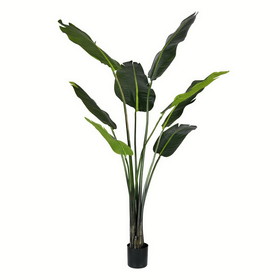 Vickerman TB191850 5' Potted Travelers Palm 8 Leaves