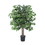 Vickerman TBU0140-06 4' Ficus Bush