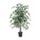 Vickerman TBU0240-06 4' Variegated Ficus Bush