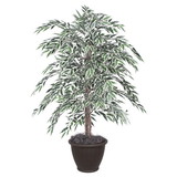 Vickerman TBU1340-RB 4' Variegated Smilax Bush in Container