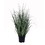 Vickerman TN170124 24" Green Ryegrass in Pot