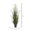 Vickerman TN170224 24" Eucalyptus Grass Potted