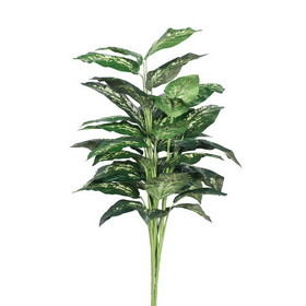 Vickerman TP170036 36" Diffenbachia Plant