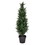 Vickerman TP170636 3' Potted Cedar Tree UV