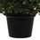 Vickerman TP192037LED 3' Potted Boxwood Cone 70 WmWht LED UV