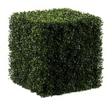 Vickerman Boxwood Cube UV