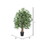 Vickerman TXX1840-06 4' Japanese Maple Extra Full