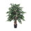 Vickerman TXX4240-06 4' Mini Ficus Extra Full