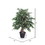Vickerman TXX4240 4' Mini Ficus Extra Full