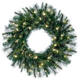 Vickerman Cashmere Wreath LED 50WmWht