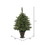 Vickerman A118536LED 3.5' x 28" Cashmere Tree 50WmWt BO Timer