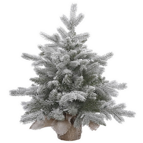 Vickerman 18" x 14" Frosted Sable Pine Tree 46Tips