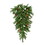Vickerman A801010LED 42" Cheyenne Pine TearDrop 100WmWht LED