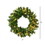 Vickerman A877325 24" Imperial Wreath 50CL Dura-Lit