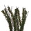 Vickerman B167724 24" Vienna Twig Wreath 300 Tips