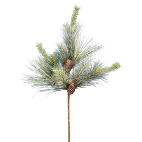 Vickerman 30" Frosted Myers Pine 2/Pk